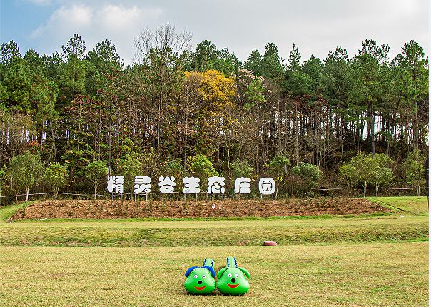 一滁州这份儿童节活动预告请查收！开元棋牌@大小朋友们“趣”过六(图2)